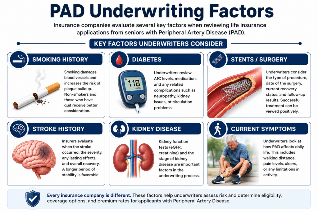 PAD Underwriting Factors Infographic